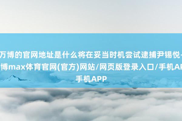 万博的官网地址是什么将在妥当时机尝试逮捕尹锡悦-万博max体育官网(官方)网站/网页版登录入口/手机APP
