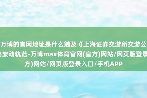 万博的官网地址是什么触及《上海证券交游所交游公法》规章的杰出波动轨范-万博max体育官网(官方)网站/网页版登录入口/手机APP